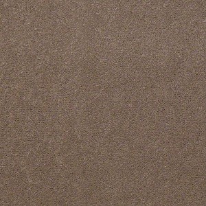 Registry 30 Tempo Taupe